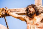 Confira programação dia a dia